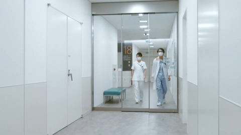 Telescopic door